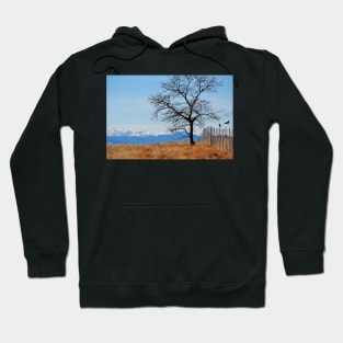 Crow’s Tree Hoodie